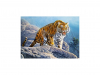 Пазли  Castorland Величний тигр 180 елементів
