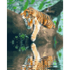 Набір для розпису по номерах Відпочинок тигра Strateg розміром 40х50 см (GS215)