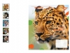 Зошит 48 арк линия 765031, Animal